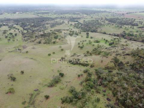 Herdade com 99,45 ha – odemira, litoral alentejano