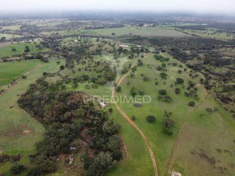Herdade com 99,45 ha – odemira, litoral alentejano