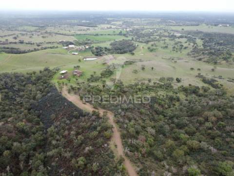 Herdade com 99,45 ha – odemira, litoral alentejano