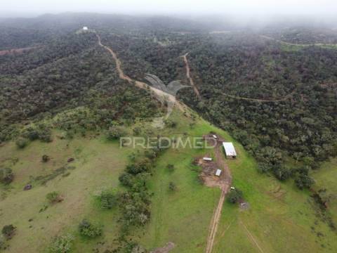Herdade com 99,45 ha – odemira, litoral alentejano