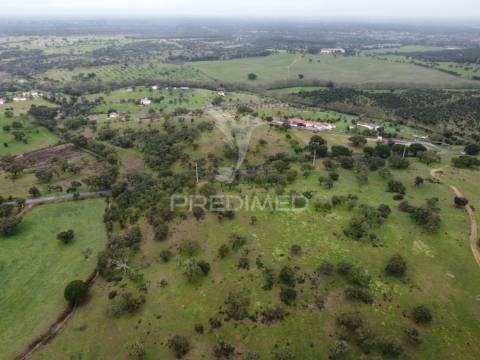 Herdade com 99,45 ha – odemira, litoral alentejano