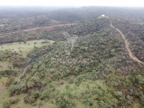 Herdade com 99,45 ha – odemira, litoral alentejano