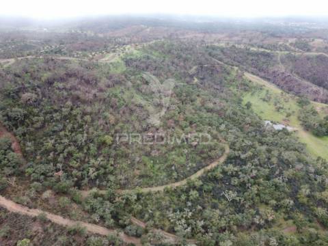 Herdade com 99,45 ha – odemira, litoral alentejano