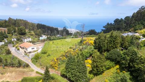 Oportunidade única! terreno com 2.390 m²  ideal para construir 2 moradias