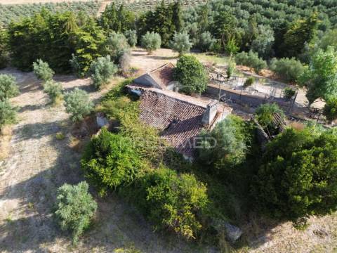 Moradia t3 para restaurar com terreno | são vicente do paúl | santarém