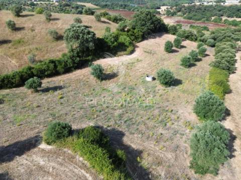 Moradia t3 para restaurar com terreno | são vicente do paúl | santarém