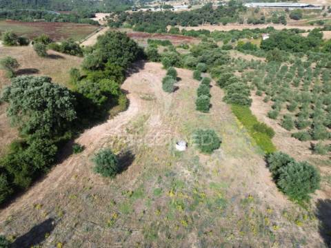 Moradia t3 para restaurar com terreno | são vicente do paúl | santarém