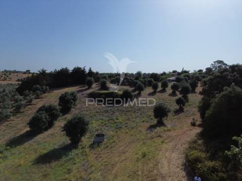 Moradia t3 para restaurar com terreno | são vicente do paúl | santarém