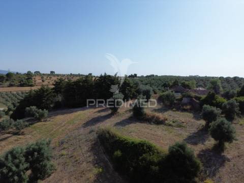 Moradia t3 para restaurar com terreno | são vicente do paúl | santarém