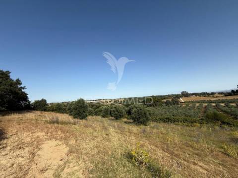 Moradia t3 para restaurar com terreno | são vicente do paúl | santarém