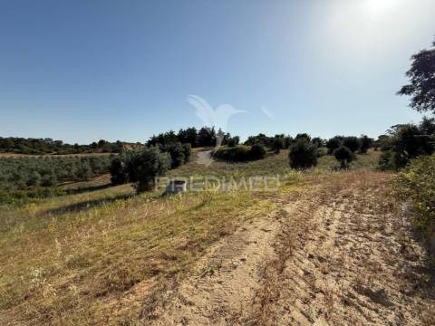 Moradia t3 para restaurar com terreno | são vicente do paúl | santarém