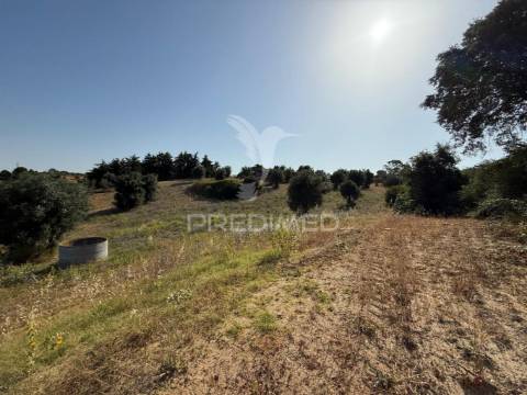 Moradia t3 para restaurar com terreno | são vicente do paúl | santarém