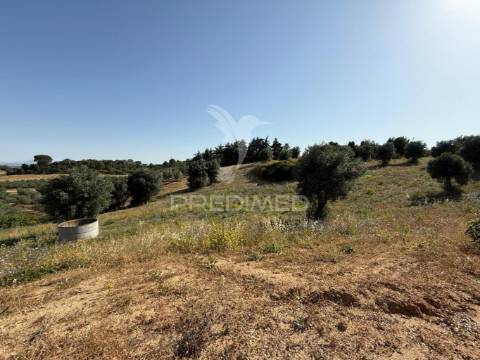 Moradia t3 para restaurar com terreno | são vicente do paúl | santarém