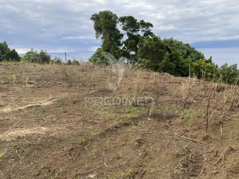Terreno à venda com projeto aprovado
