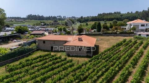 Refúgio de luxo em penafiel - onde os sonhos ganham raízes