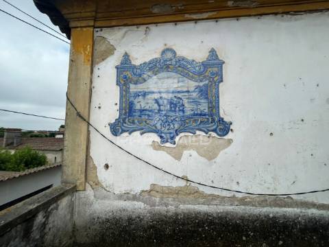 Palacete t11 | cacia, aveiro