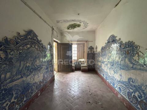 Palacete t11 | cacia, aveiro