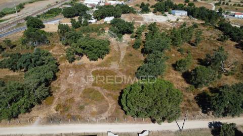 Herdade com 4.9 hc,com moradia,pinhal novo.