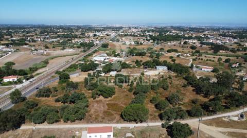 Herdade com 4.9 hc,com moradia,pinhal novo.