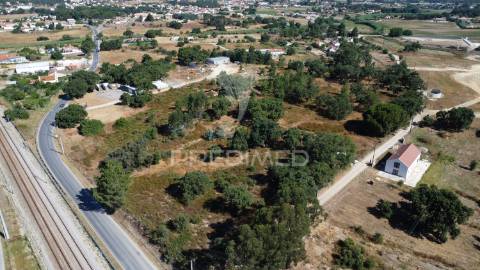 Herdade com 4.9 hc,com moradia,pinhal novo.