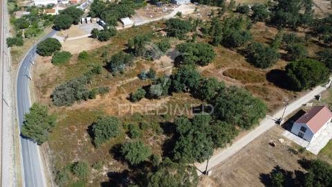 Herdade com 4.9 hc,com moradia,pinhal novo.