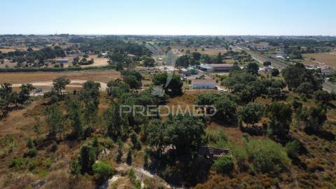 Herdade com 4.9 hc,com moradia,pinhal novo.