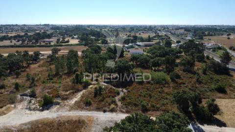 Herdade com 4.9 hc,com moradia,pinhal novo.