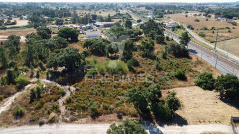 Herdade com 4.9 hc,com moradia,pinhal novo.