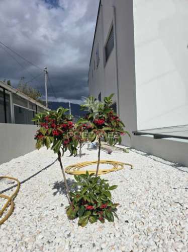 T2 de sonho com jardim privado e vista panorâmica sobre a baía do funchal – miradouro dos barreiros