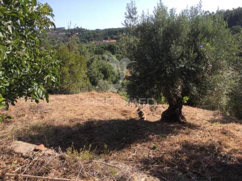 Moradias para recuperar concelho tomar. ( com projeto )