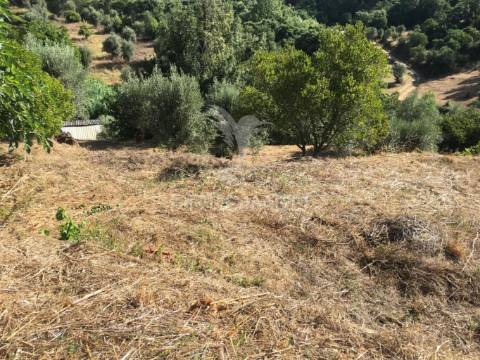 Moradias para recuperar concelho tomar. ( com projeto )