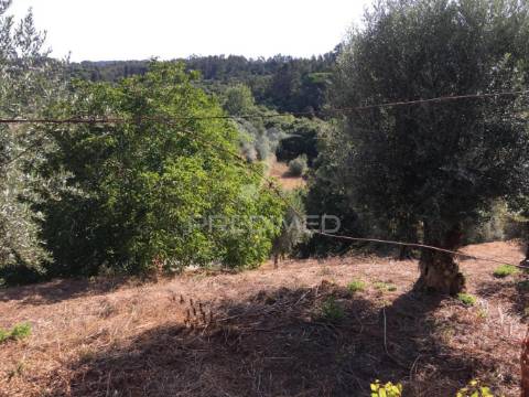 Moradias para recuperar concelho tomar. ( com projeto )