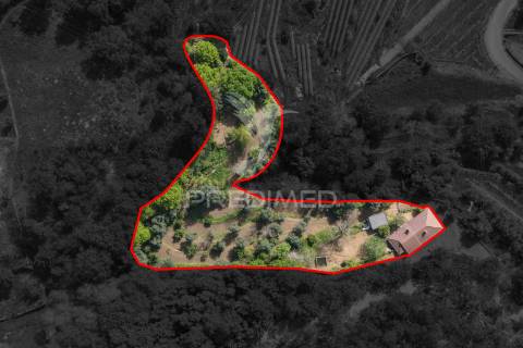 Moradia com terreno (amares)