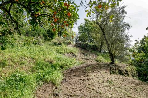 Moradia com terreno (amares)