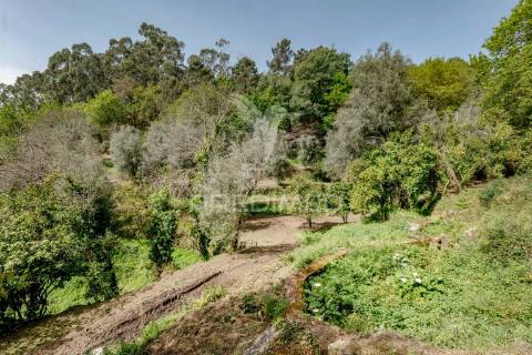 Moradia com terreno (amares)