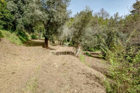 Moradia com terreno (amares)