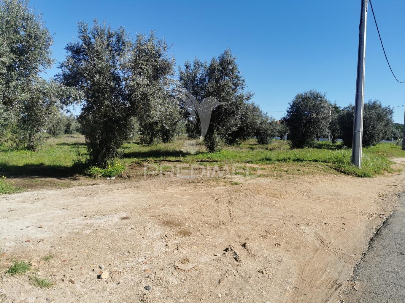 Lote de moradia