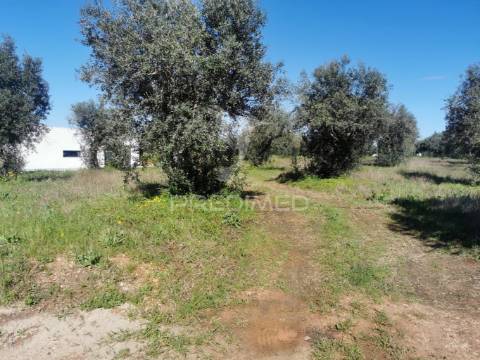 Lote de moradia