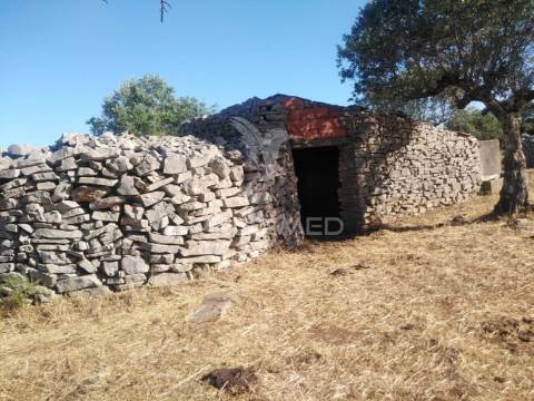 Terreno rústico vedado com olival e infraestruturas – aldeia da paiã, são bento, porto de mós (leiria)