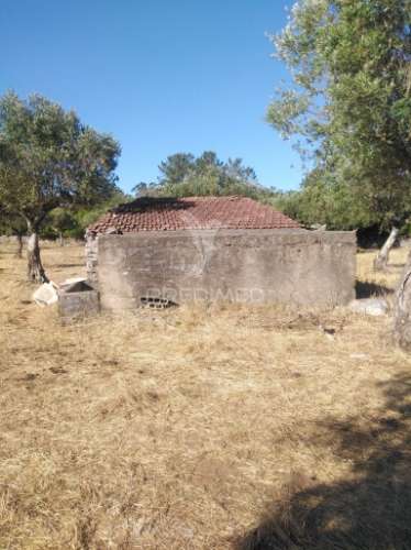 Terreno rústico vedado com olival e infraestruturas – aldeia da paiã, são bento, porto de mós (leiria)