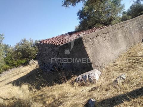Terreno rústico vedado com olival e infraestruturas – aldeia da paiã, são bento, porto de mós (leiria)