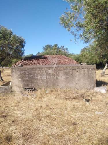 Terreno rústico vedado com olival e infraestruturas – aldeia da paiã, são bento, porto de mós (leiria)