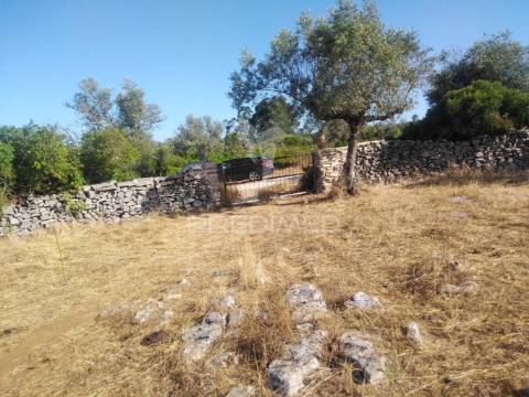 Terreno rústico vedado com olival e infraestruturas – aldeia da paiã, são bento, porto de mós (leiria)