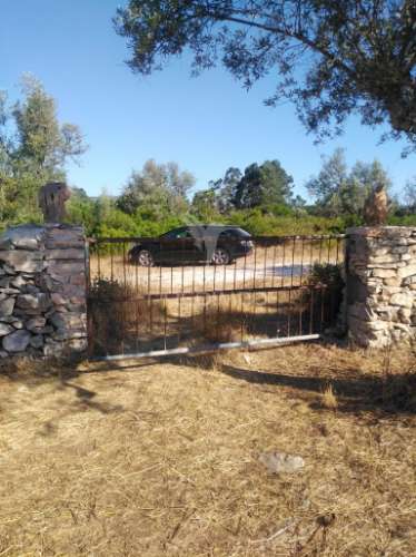 Terreno rústico vedado com olival e infraestruturas – aldeia da paiã, são bento, porto de mós (leiria)