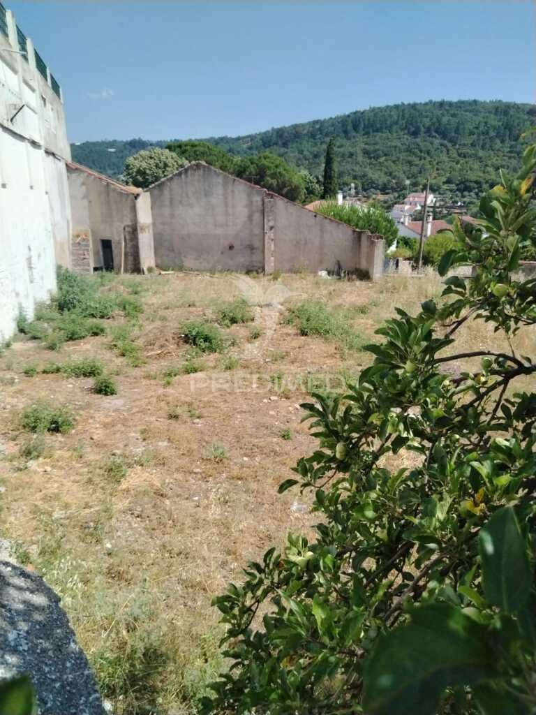 Lote