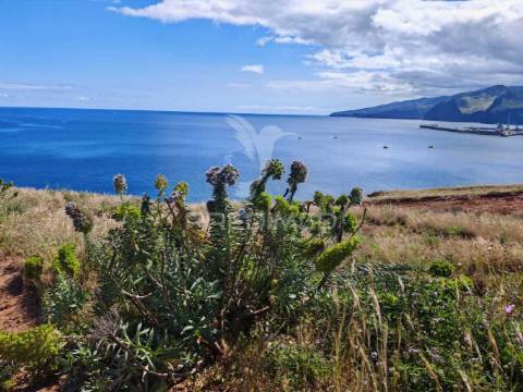Terreno com vista mar na prestigiada zona da rochinha, caniçal