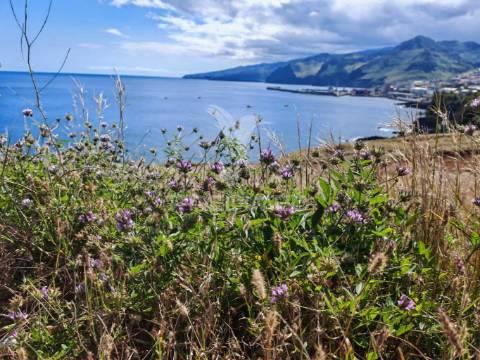 Terreno com vista mar na prestigiada zona da rochinha, caniçal