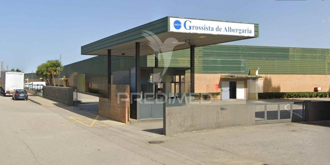 Loja albergaria a velha