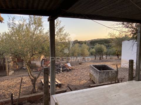 Moradia t1 com terreno de 3300mts2