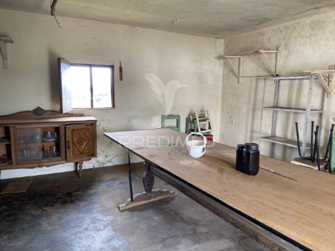 Moradia t1 com terreno de 3300mts2